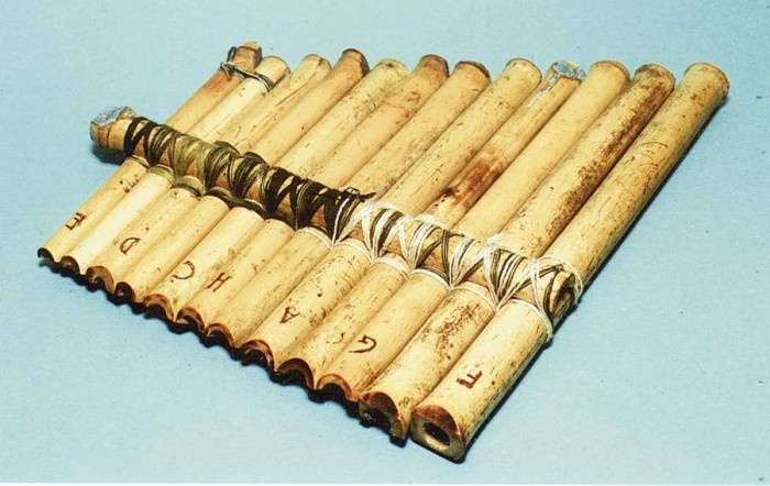 “Flautas materiāls ir bambuss. Rīgā bija makšķernieku veikals, kur varēja dabūt ļoti lētas bambusa makšķeres. Viena piecmetrīgā makšķere maksāja Ls 1,50. Tie laikam bija vecie krājumi. Es nopirku tikai vienu. Vēlāk vairāk nebija.”